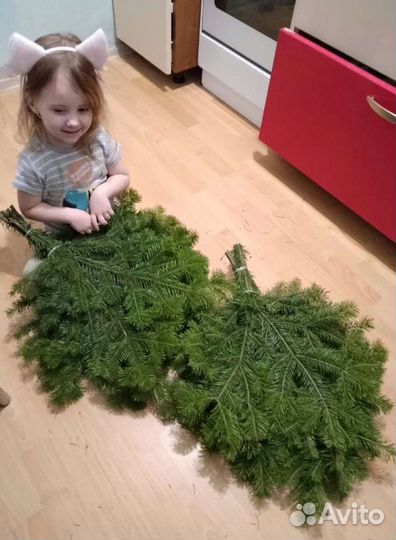 Пихтовые веники для бани