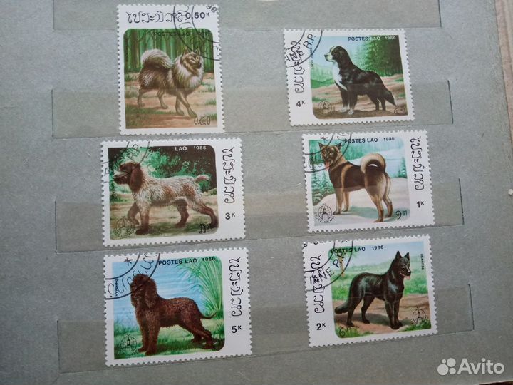 Марки. Собаки