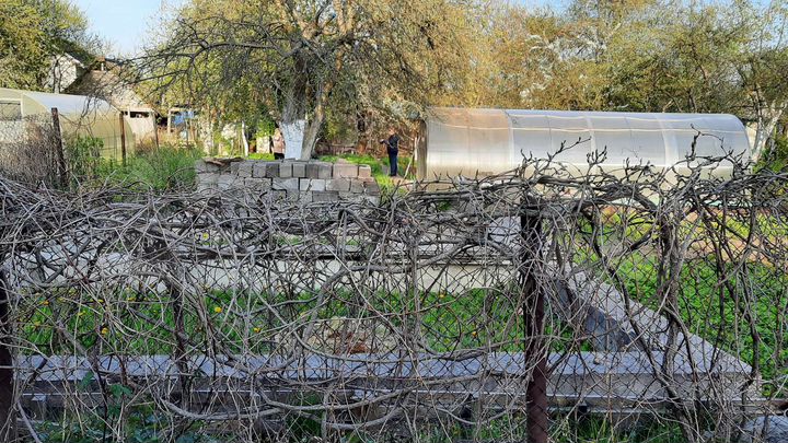 Участок 5,1 сот. (СНТ, ДНП)