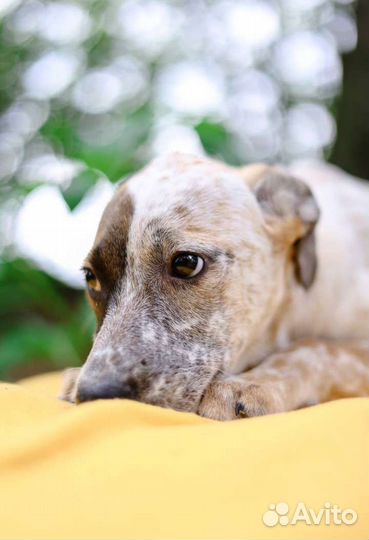 Малышка грустит