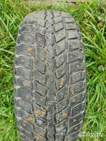 Roadstone Winguard 231 195/55 R15 85