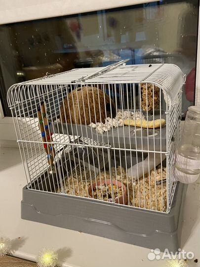 Клетка для грызунов