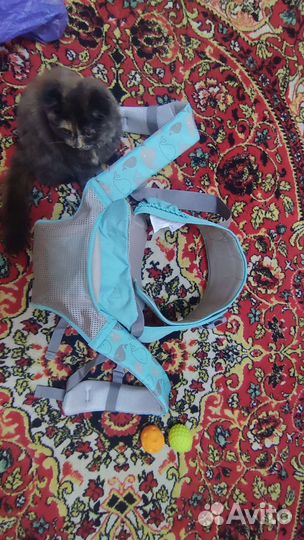 Эргорюкзак