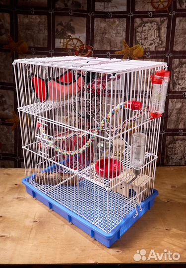 Клетка для шиншилл хорька крыс дегу