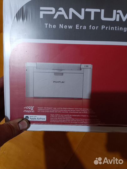 Принтер Pantum p2506w