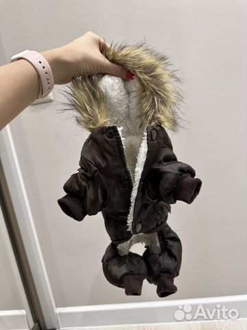 Одежда для маленьких собак чихуа