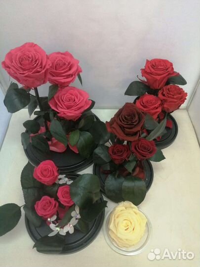 Роза в колбе оптом/ Подарок