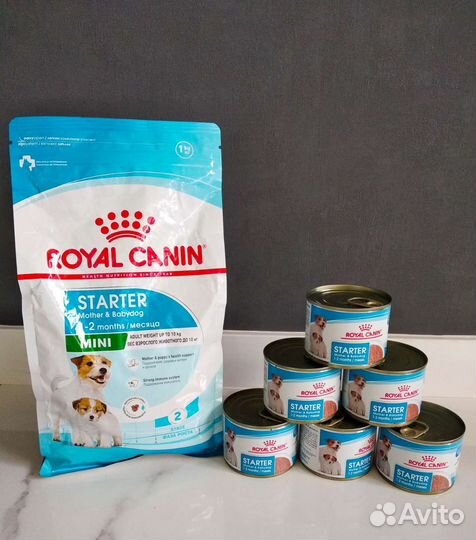 Royal Canin Starter паштет, консервы, сухой корм
