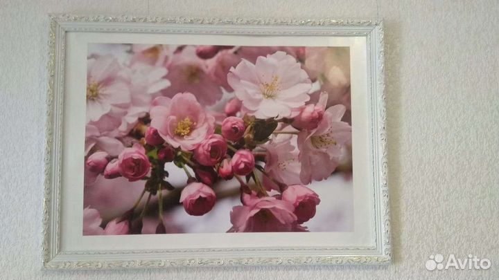 Картины разные