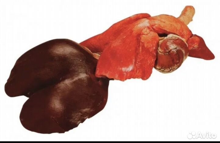 Ливер бараний