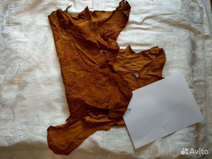 Страусиная кожа, кожа страуса