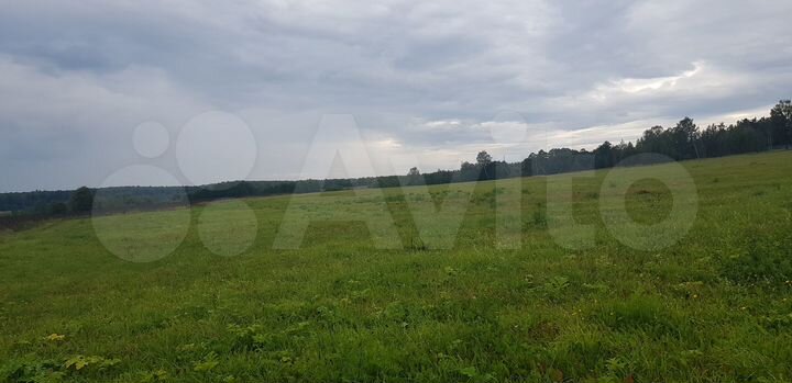 Участок 4,33 га (СНТ, ДНП)