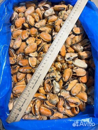 Креветки, мидии, морепродукты