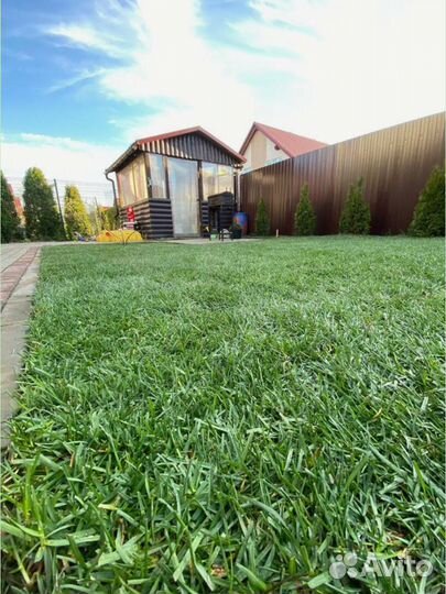 Рулонный газон