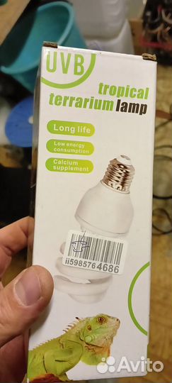 Лампа для черепах