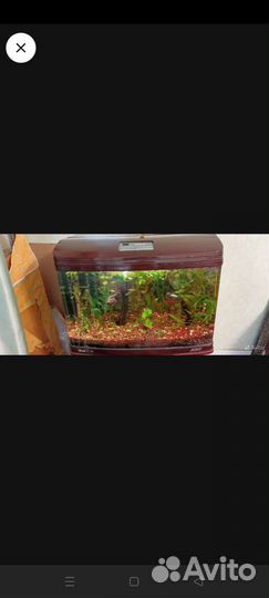 Аквариум