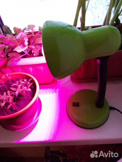 Лампа настольная