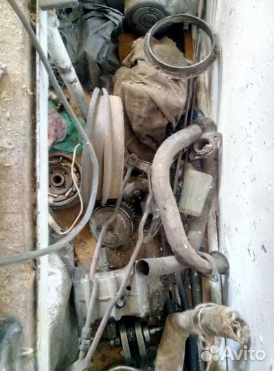 Муравей м-б2м