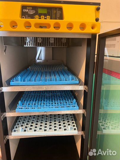 Инкубатор для яиц brinsea 380