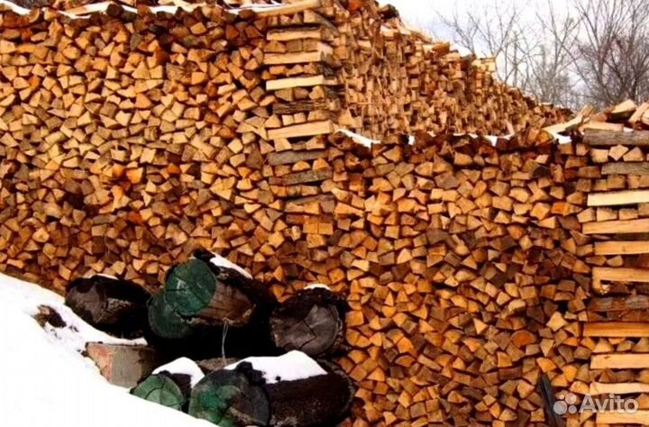 Дрова с Зеленогорска