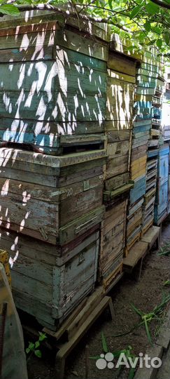 Рамки для улей, прицеп для перевозки улий