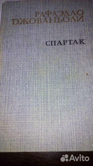 Всемирная история в романах,Степан Разин