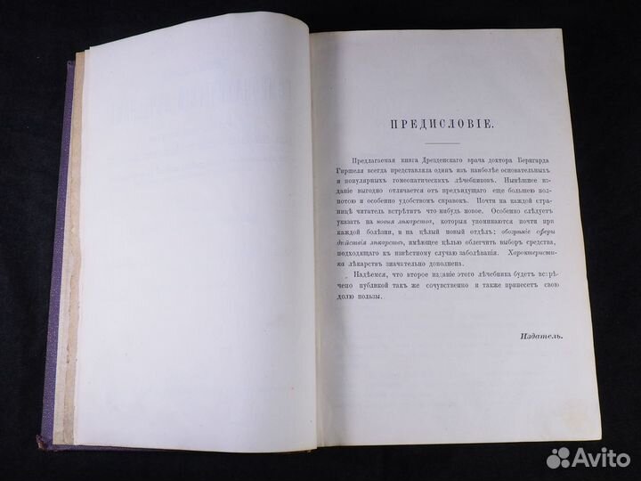 Б. Гиршель «Гомеопатический лечебник». 1879 год