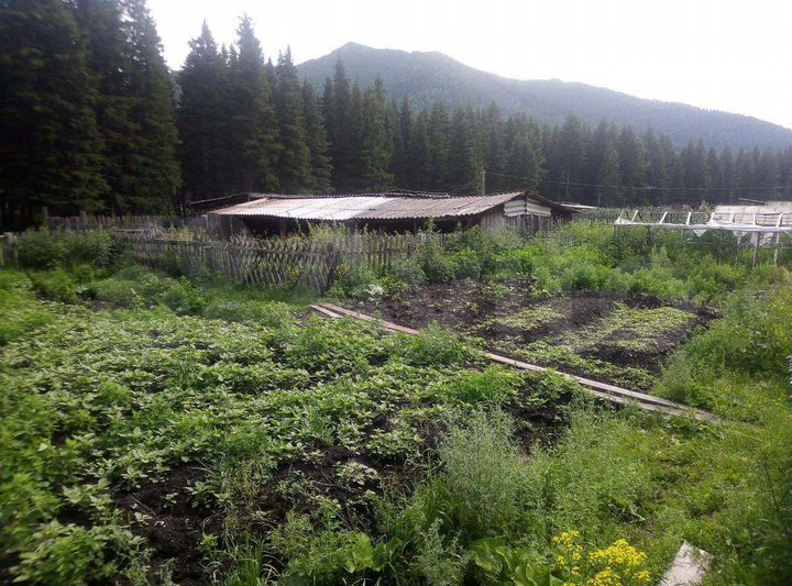 Дом 40 м² на участке 40 сот.