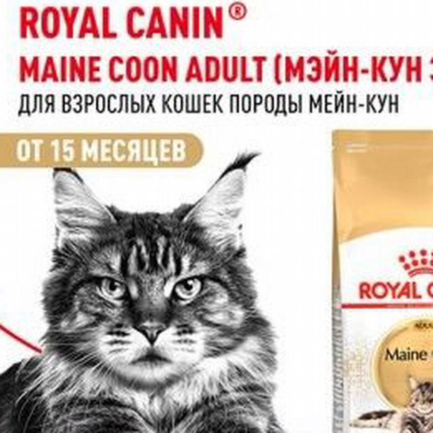 Maine coon adult PRO 13 кг