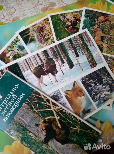 Природный заповедник. Набор открыток