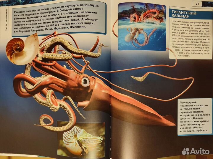 Энциклопедия 