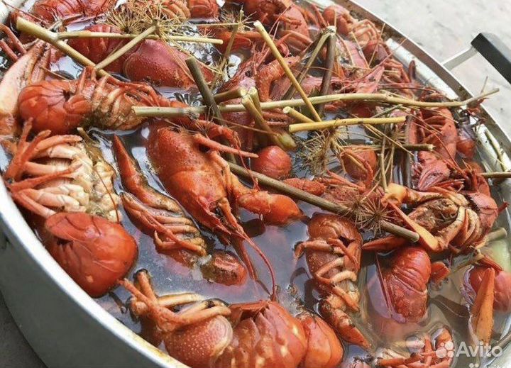 Живые раки или вареные