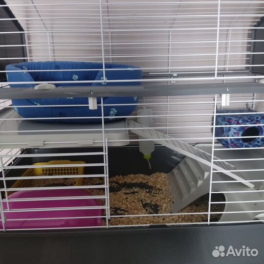 Клетка для грызунов ferplast barn 100