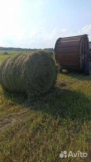 Плуг 86 Механический завод ПСК-5, 2001