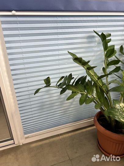 Жалюзи и рулонные шторы