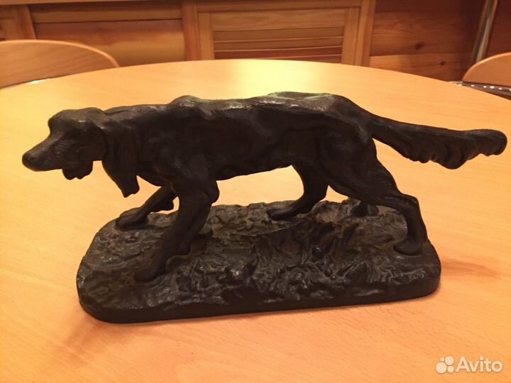 Сеттер куса