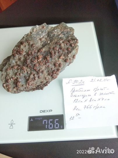 Кристаллы гранат-альмандина в эклогите.№90.2и