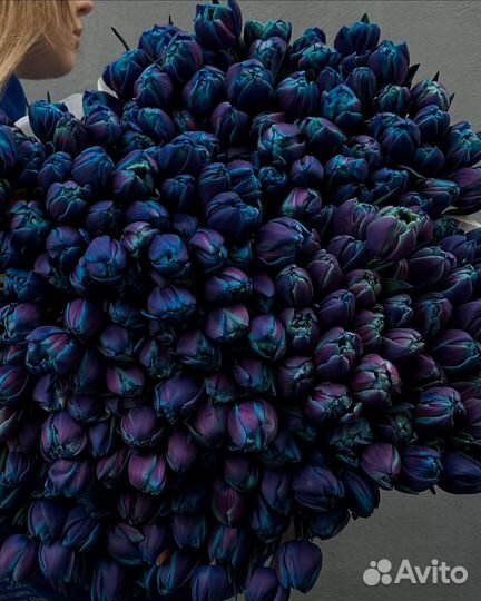 101 тюльпан синие тюльпаны с доставкой