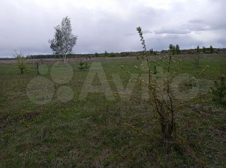 Участок 10 сот. (ИЖС)