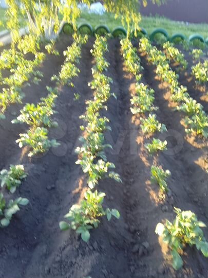 Дача 25 м² на участке 8 сот.