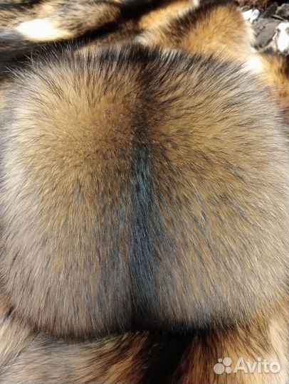 Шкурки енотовидной собаки, натуральный мех