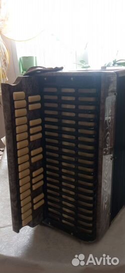 Казань гармонь