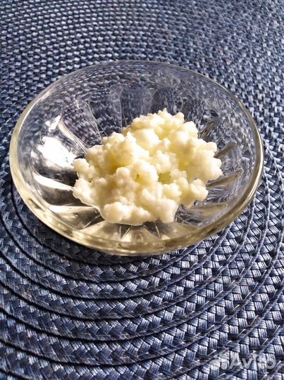 Кефирный грибок