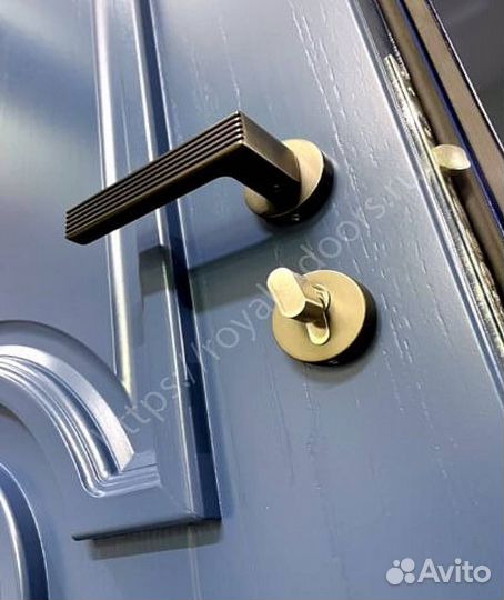 Металлическая дверь с фрамугой и багетом