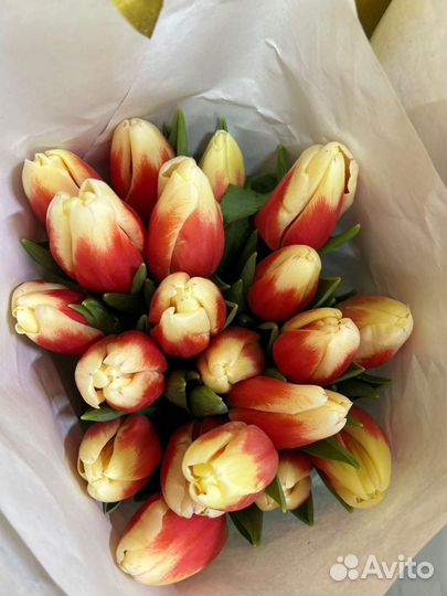 Тюльпаны к 8 марта