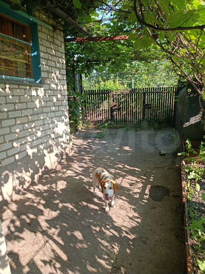 Дача 30 м² на участке 10 сот.