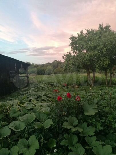 Дом 64 м² на участке 28 сот.