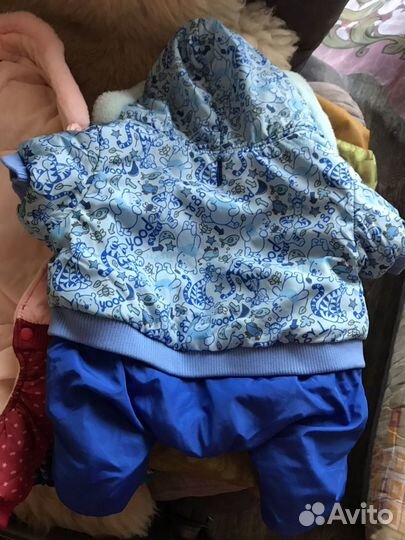 Одежда для собак