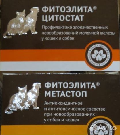 Новые: Поилка GiGwi, Поводок Royal