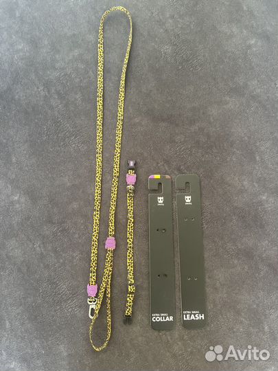 Ощейник и поводок